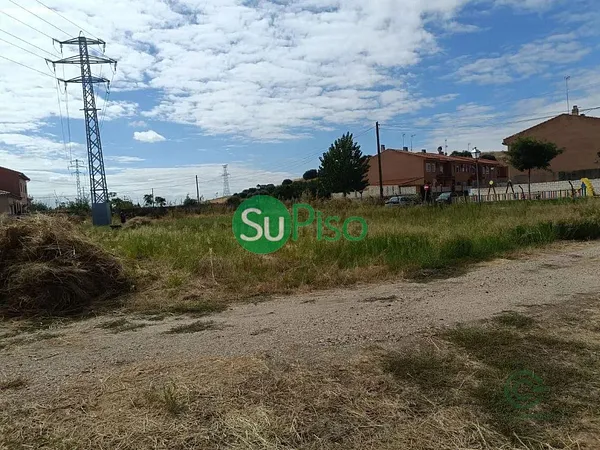 Spot image