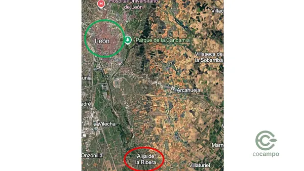 Spot image