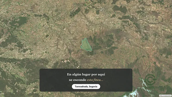 Spot image