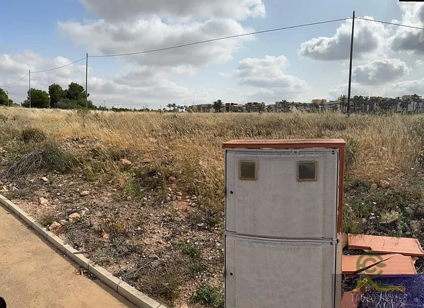 Spot image