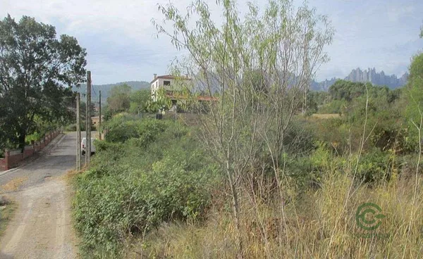 Spot image