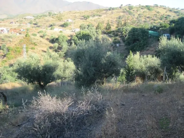 Spot image