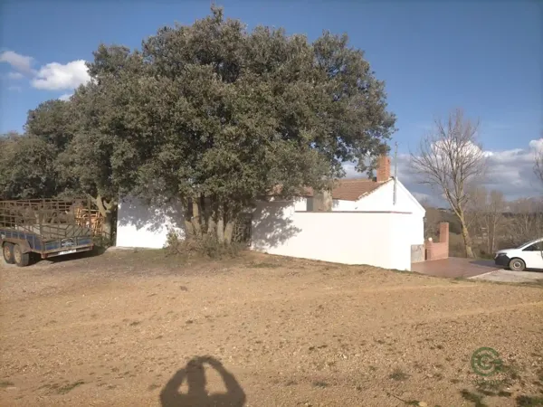 Spot image