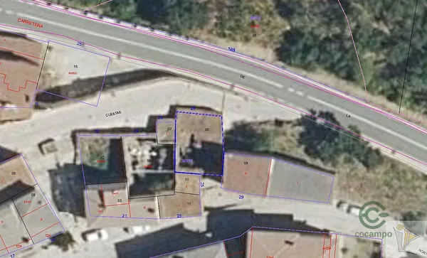 Spot image