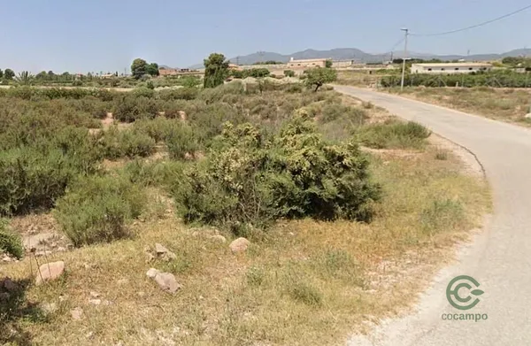 Spot image