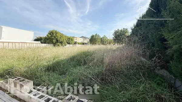 Spot image