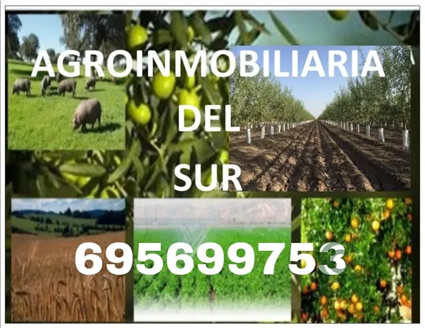 Finca rústica de 1 ha en venta en Sevilla