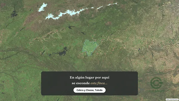 Spot image