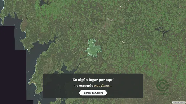 Spot image