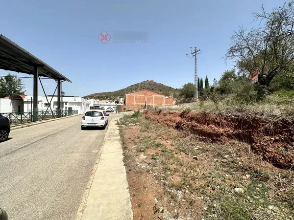 Spot image