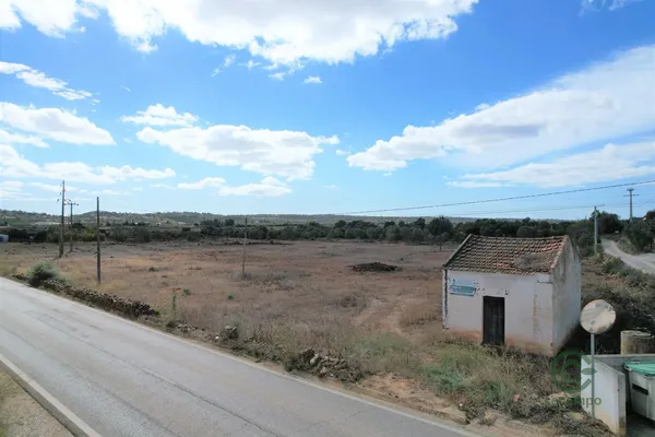 Spot image