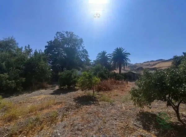 Spot image