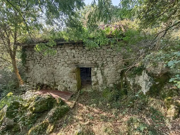 Spot image