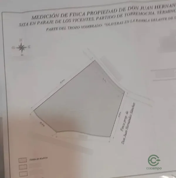 Spot image