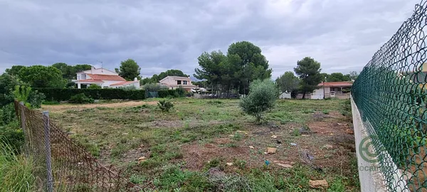 Spot image