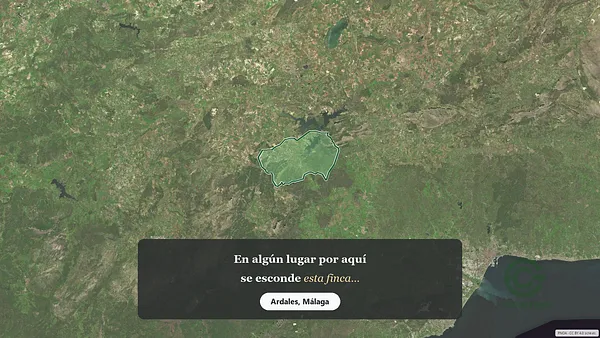Spot image