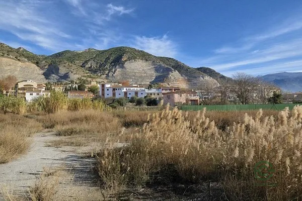 Spot image