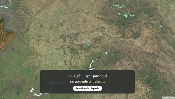 Spot image