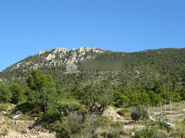 Spot image