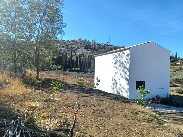 Spot image