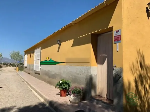 Spot image