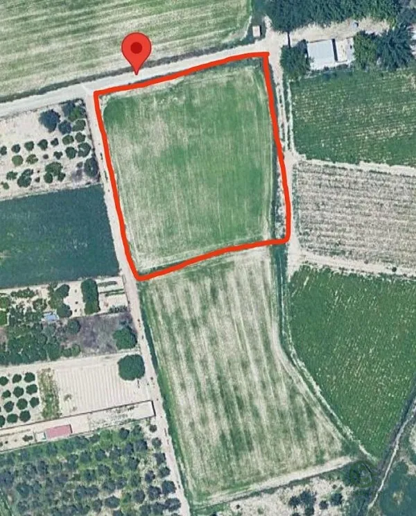 Spot image