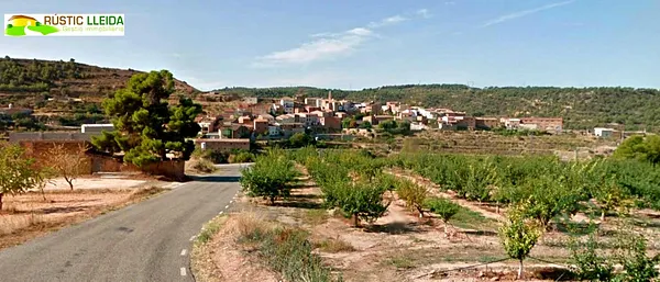 Spot image