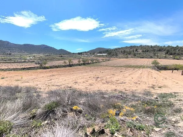 Spot image