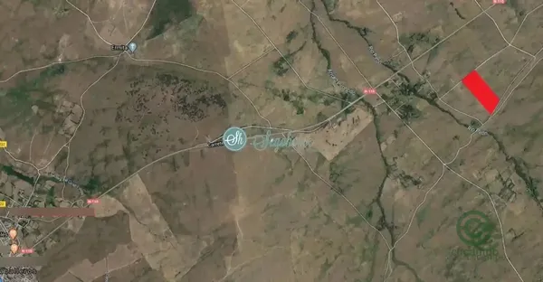 Spot image