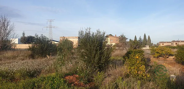 Spot image