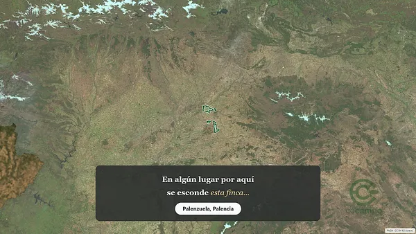 Spot image