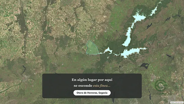 Spot image