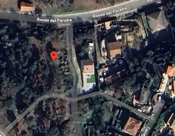 Spot image