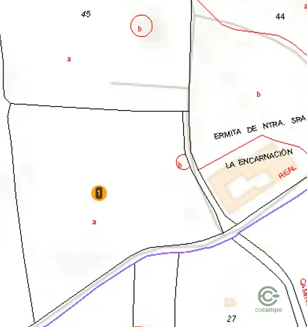 Spot image