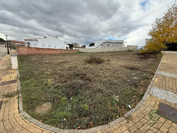 Spot image