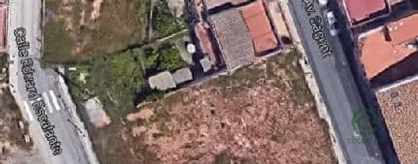 Spot image