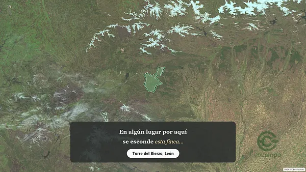 Spot image