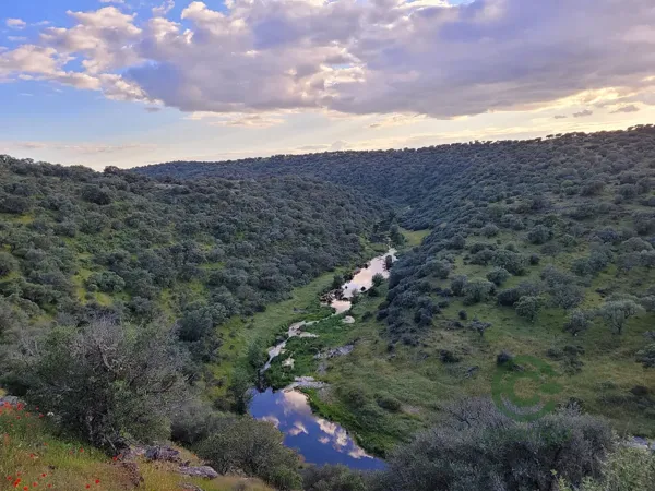 Finca rústica de 287 ha en venta en Cáceres