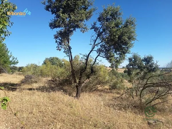 Finca rústica de 0,24 ha en venta en Badajoz, Badajoz