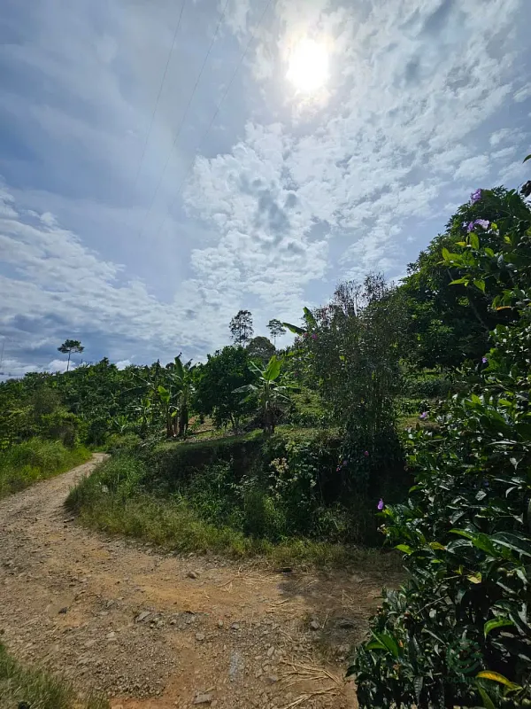 Finca rústica de 18 ha en venta en Tolima