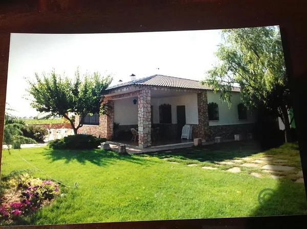 Spot image