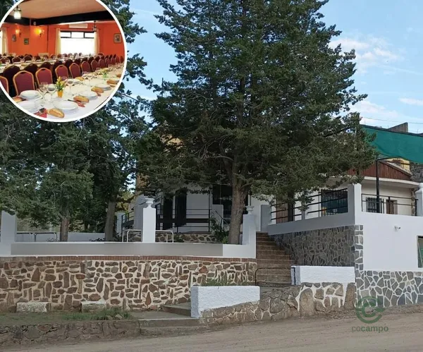 Spot image