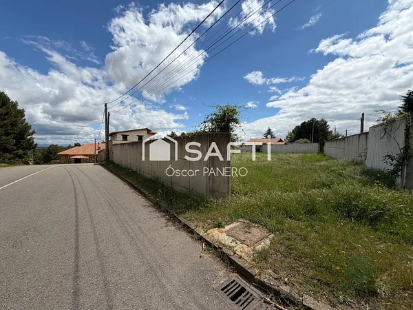 Spot image