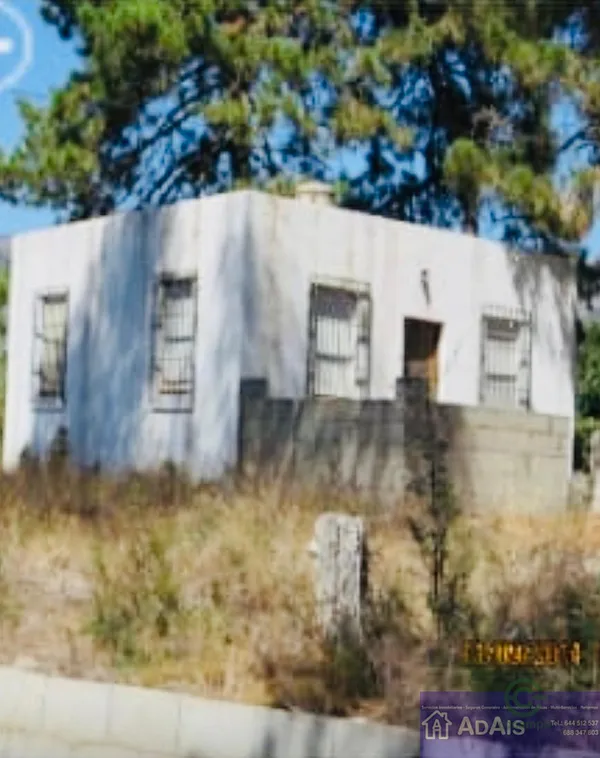 Spot image