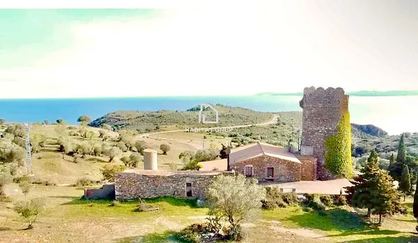 Spot image