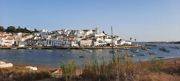 Spot image