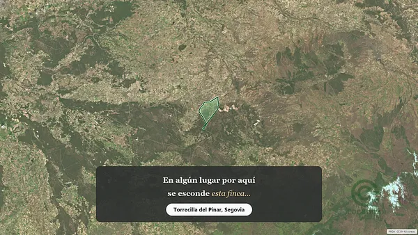 Spot image