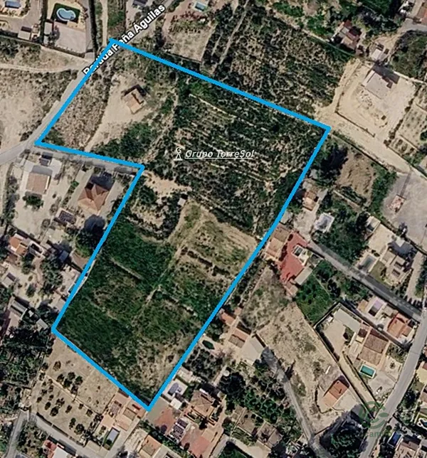 Spot image