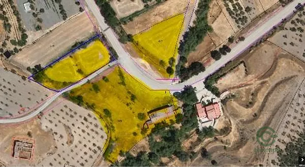 Spot image