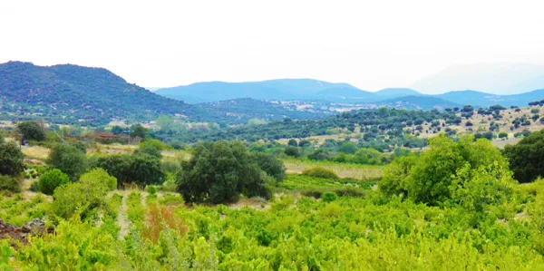 Finca rústica de 20 ha en venta en Madrid